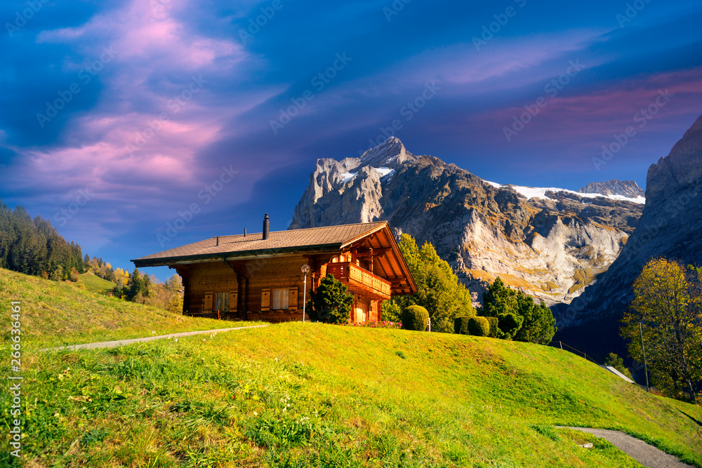 traditional alpine houses