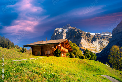 traditional alpine houses