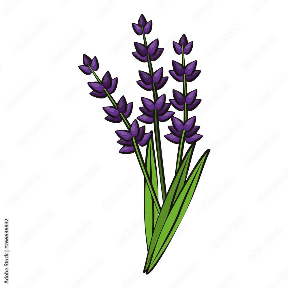 Flowers nature drawing isolated Flowers nature drawing isolated