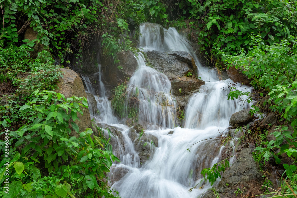 Mountain river stream waterfall fresh forest / Landscape nature plant tree rainforest jungle with rock and green mos in the morning wild tropical forest