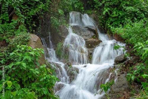 Mountain river stream waterfall fresh forest / Landscape nature plant tree rainforest jungle with rock and green mos in the morning wild tropical forest