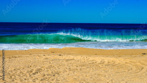 Australian Surf