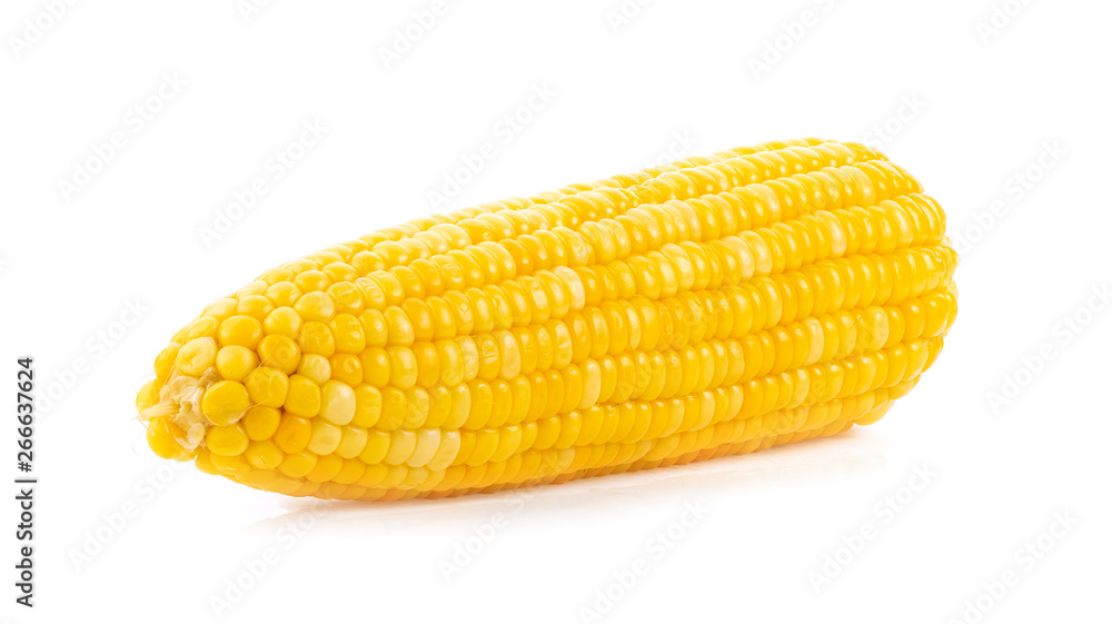 corn on white background. full depth of field corn on white background. full depth of field