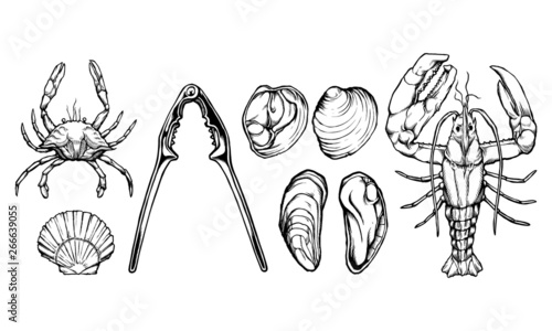 Hand drawn - Seafood 1