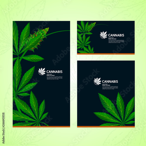 Green cannabis leaf Background vector illustration.