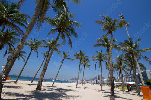 Fototapeta Naklejka Na Ścianę i Meble -  Coconut trees on the Copacabana Beach in Rio de Janeiro Brazil
