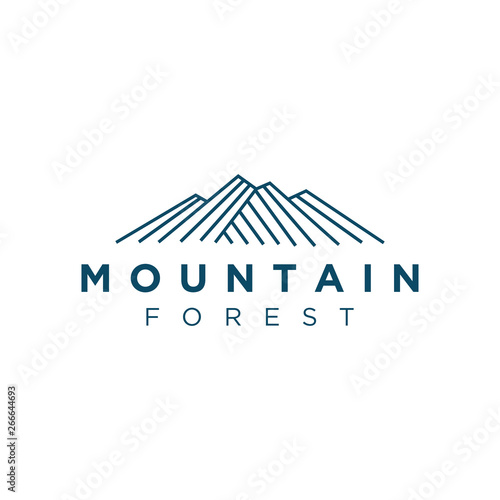 Modern and simple mountain logo design