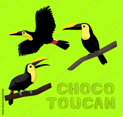 Bird Choco Toucan Cartoon Vector Illustration