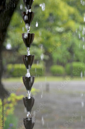 Rain is flowing down a Japanese rain chain. Each cup is designed like a flower. Heavy drops of rain are clearly visible. The greenery and path of an out-of-focus park are in the background.