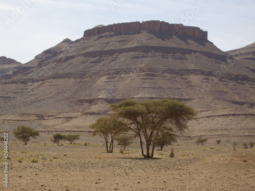 Berg in der Sahara photo