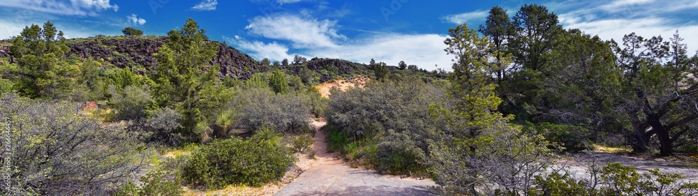 Views from the Lower Sand Cove trail to the Vortex formation, by Snow Canyon State Park in the Red Cliffs National Conservation Area, by Gunlock and St George, Utah, United States. 