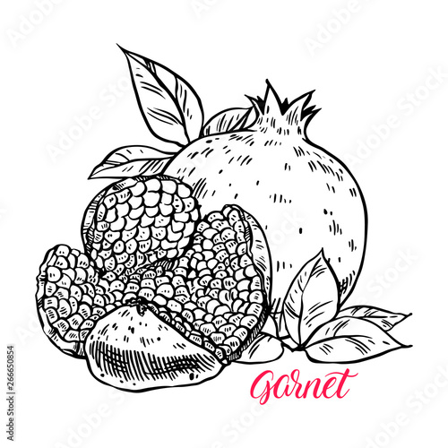 Wallpaper Mural Set of juicy pomegranates Torontodigital.ca