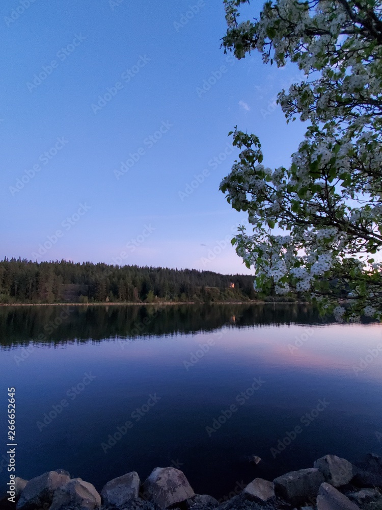 Lake and Tree at Twilight