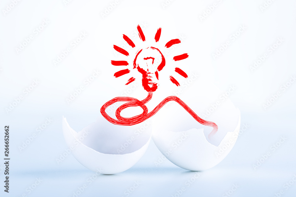Birth of idea concept. Lightbulb inside broken chicken egg on white background. Birth of idea concept. Lightbulb inside broken chicken egg on white background.