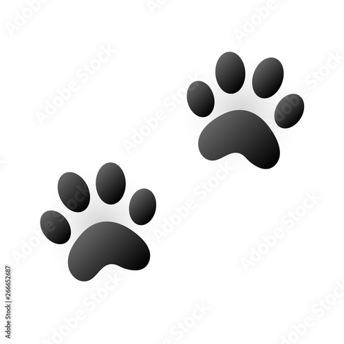 Cute cat feet trace on white background,vector illustration.