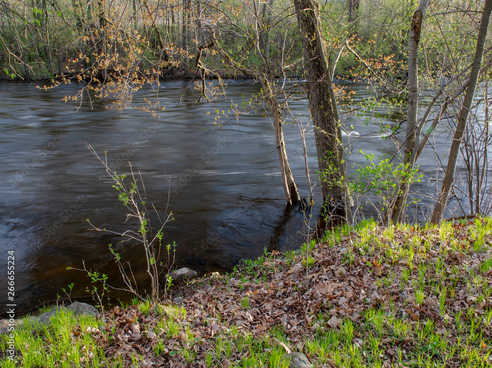 Fototapeta premium 641-44 High Water, Huron River