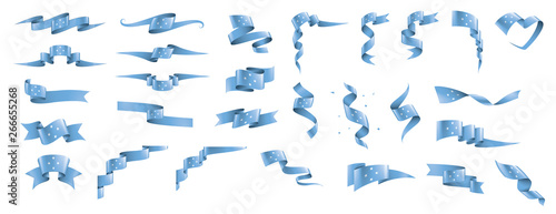 Federated States Micronesia flag, vector illustration on a white background