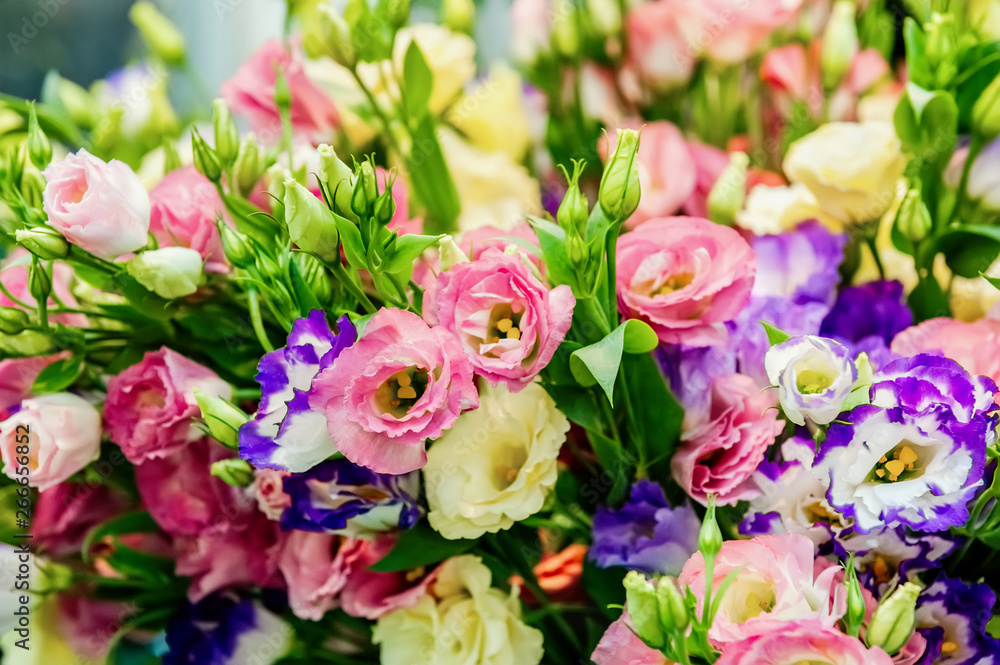 A large bouquet of eustoma in a flower shop is sold as a gift box. Farmer's market. Background. A large bouquet of eustoma in a flower shop is sold as a gift box. Farmer's market. Background.