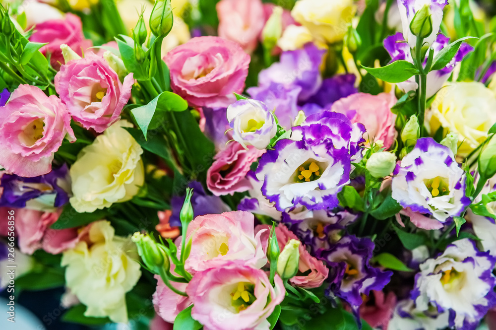A large bouquet of eustoma in a flower shop is sold as a gift box. Farmer's market. Background