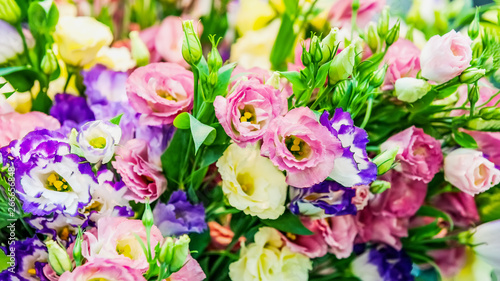 A large bouquet of eustoma in a flower shop is sold as a gift box. Farmer's market. Background. © oksanamedvedeva