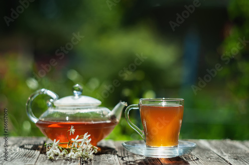 Fresh hot tea in a glass teapot and a transparent cup. Copy space. Soft focus
