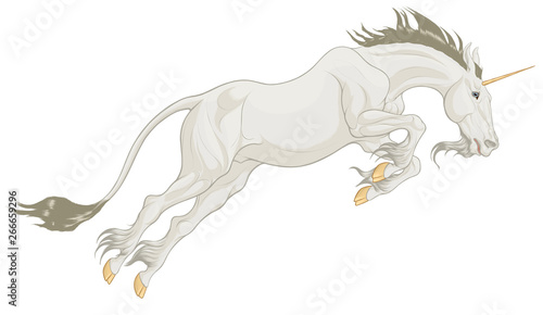 The heraldic horned stallion takes off the ground with a powerful jump  pulling its neck forward. Colored illustration of a white leaping Unicorn. Clip art and design element for mythological goods.