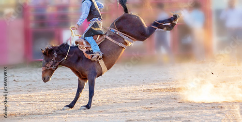 Bucking Horse Riding Rodeo Competition