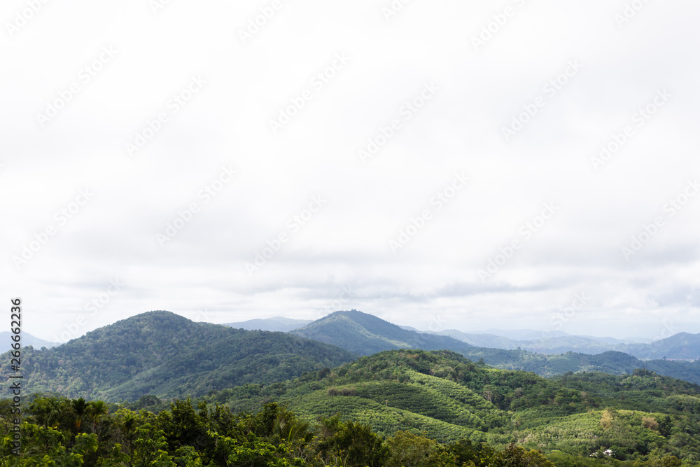 mountain scape and forest in day time with sunlight shine on there and cloudy sky