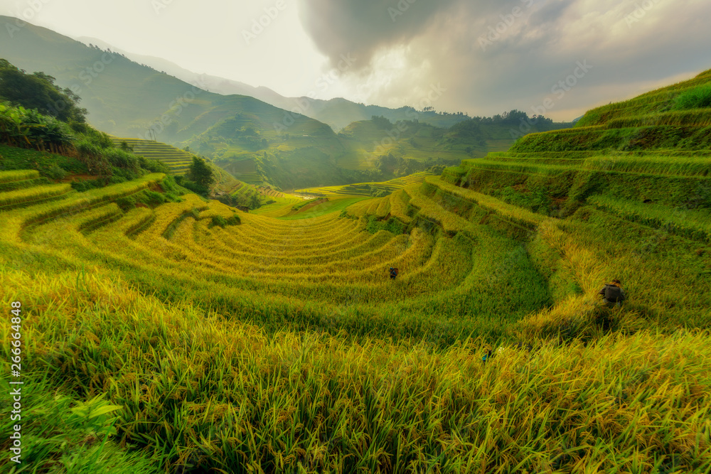 Mu Cang Chai Vietnam The beautiful terraced rice field the best landmark of Asia.