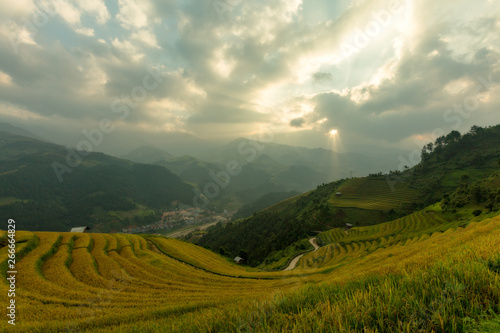 Vietnamese rice field on terraced and cloudy in Mu Cang Chai Vietnam.
