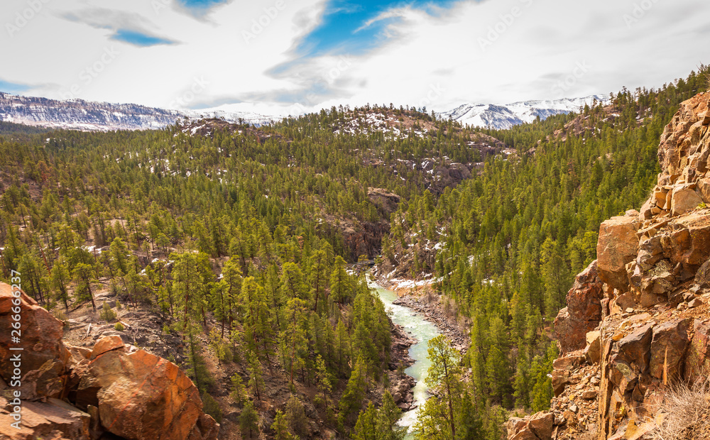 Εκτύπωση καμβά The Animas River flows through the San Juan National Forest in Colorado
