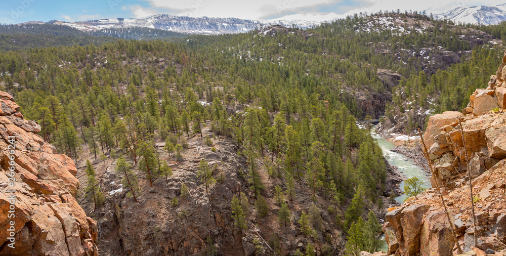 Φωτογραφία Various landscape views of the beautiful wilderness of the San Juan National Forest in Colorado