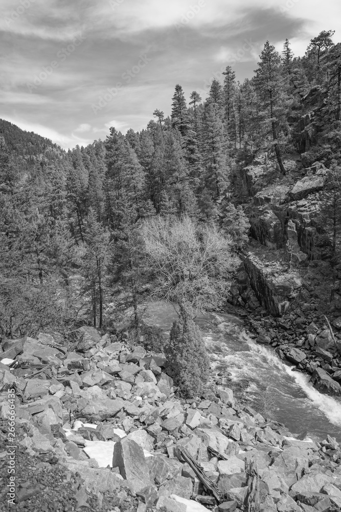 Φωτογραφία Various landscape views of the beautiful wilderness of the San Juan National Forest in Colorado