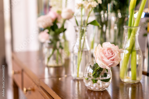 beautiful rose flower in vase