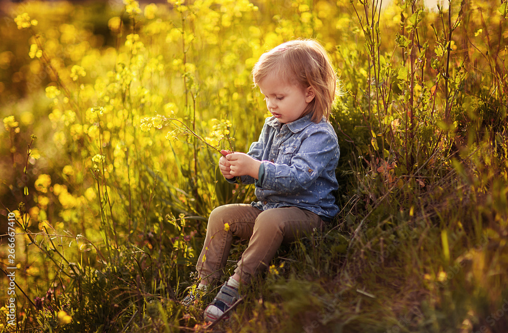 Little boy sits in yellow flowers at sunset in summer park Little boy sits in yellow flowers at sunset in summer park