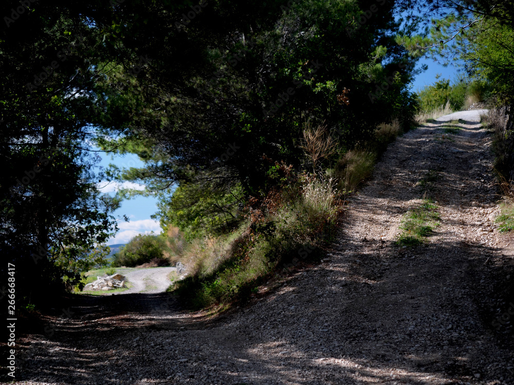 Obraz premium Und wenn sich die Wege auf diesem besonderen Wanderweg teilen, es ist immer der richtige, egal für welchen ich mich entscheide, der Pfad Kozjak zeigt einem immer wieder Wandern heißt schau und staune