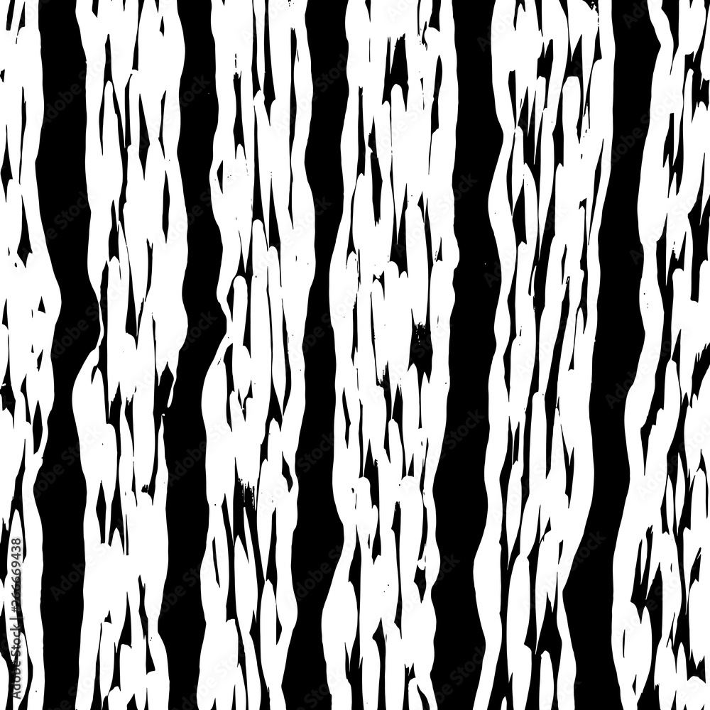 Fototapeta premium Brush grunge pattern. White and black vector.