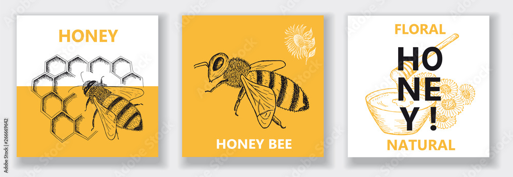 Best natural honey. Vector illustration emblem or logo template.