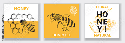 Best natural honey. Vector illustration emblem or logo template.