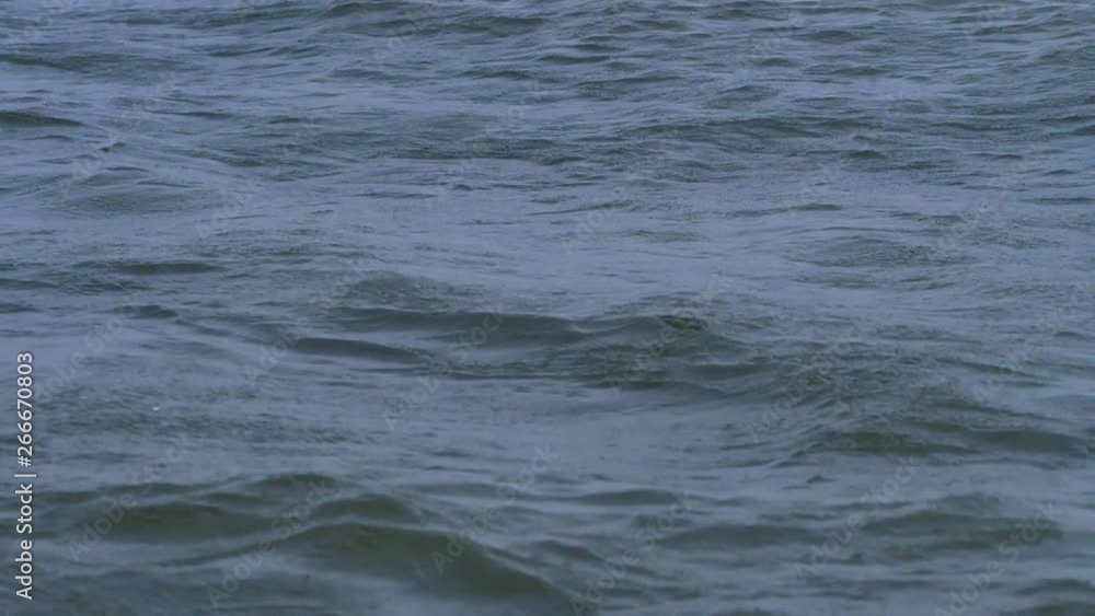 Waves in the sea slow motion