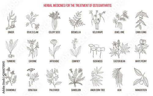 Best herbal remedies for osteoarthritis