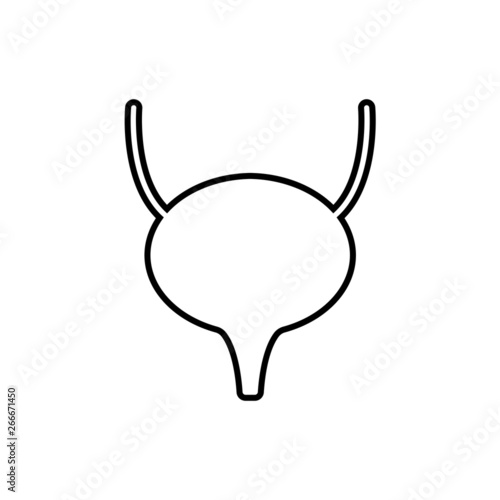 bladder icon. Vector illustration. Organ icon vector
