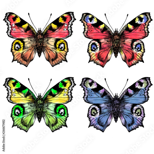 watercolor painted butterflies