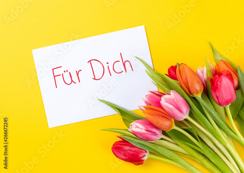 colorful tulips on a yellow background and german text für dich, in english for you