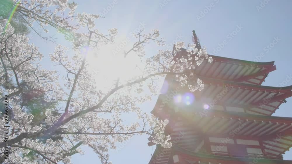 custom made wallpaper toronto digitalCherry Blossoms and a Pagoda in the Sunshine A