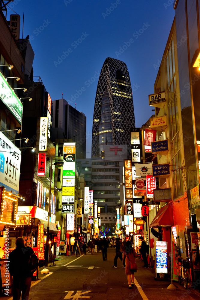 西新宿繁華街の夜景 StockFoto Adobe Stock