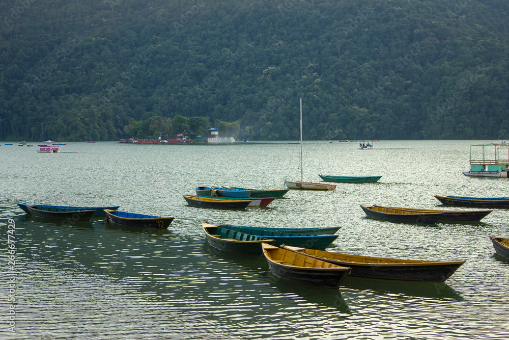 Fototapeta premium wooden old empty bright colored boats on the lake Phewa on the background of a mountain with a green forest