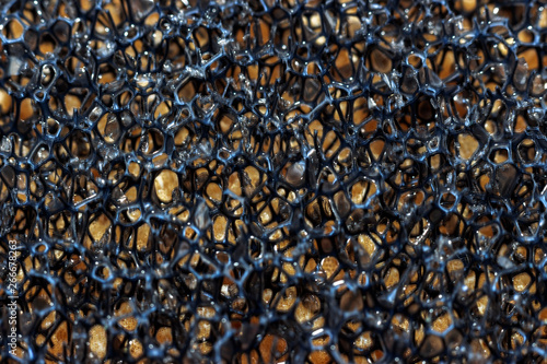porous material photographed with a macro lens