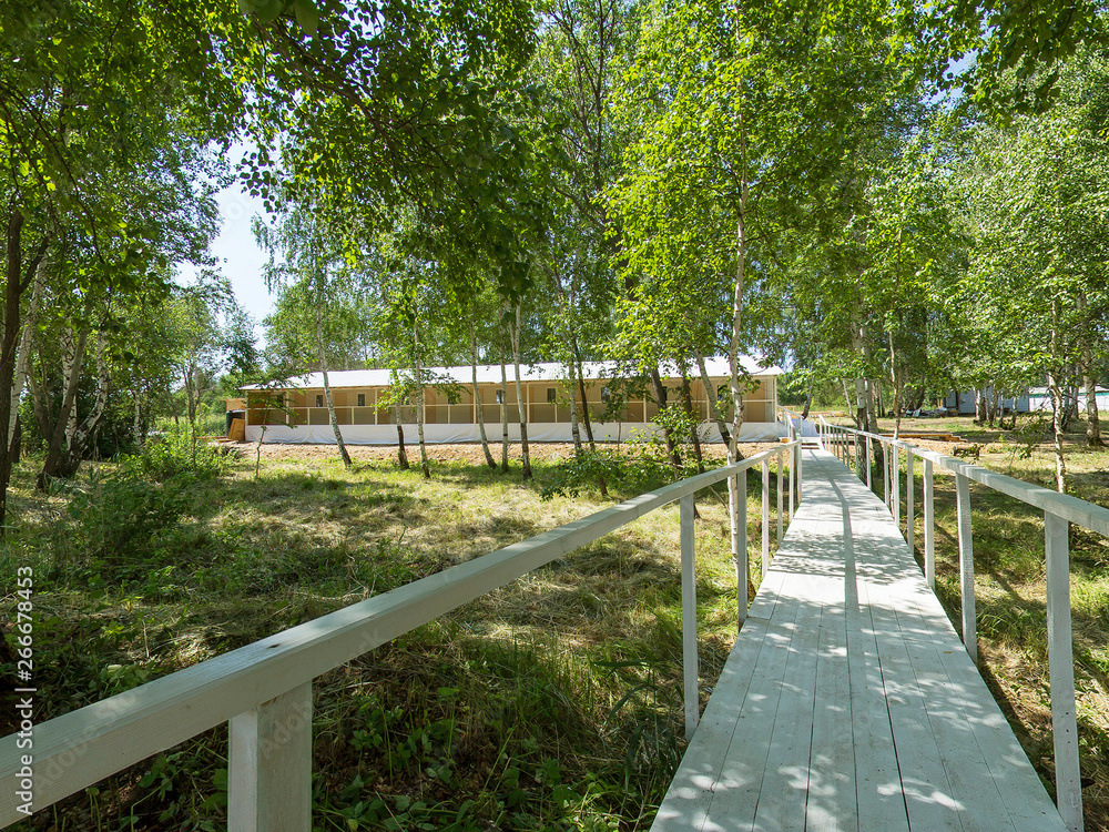 white small bridge to marquee tent, glade, summer, sunny white small bridge to marquee tent, glade, summer, sunny