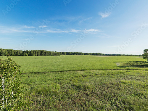 Green meadow and blue sky over grass field  rural landscape